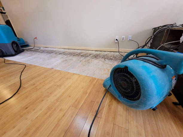 Professional Sewage Cleanup technician working in Almont, MI